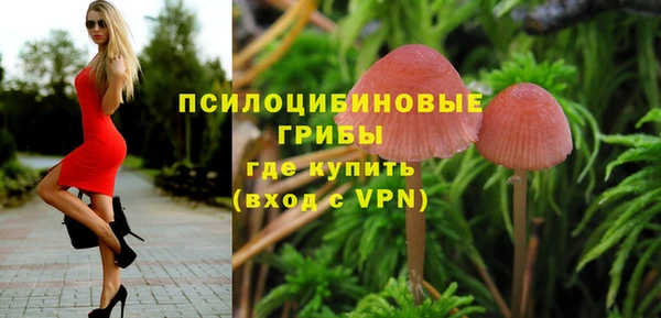 a pvp Зерноград