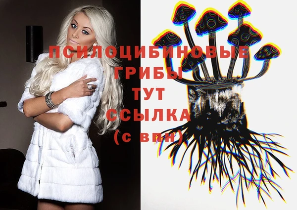 мяу мяу мука Зеленокумск