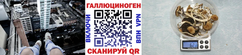 Псилоцибиновые грибы прущие грибы  наркошоп  Нестеровская 