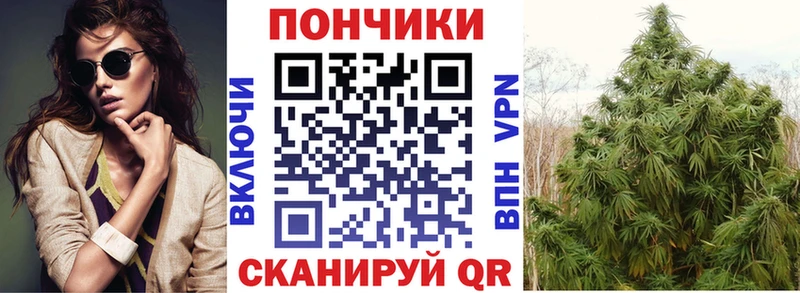 kraken зеркало  Нестеровская  Марихуана OG Kush 